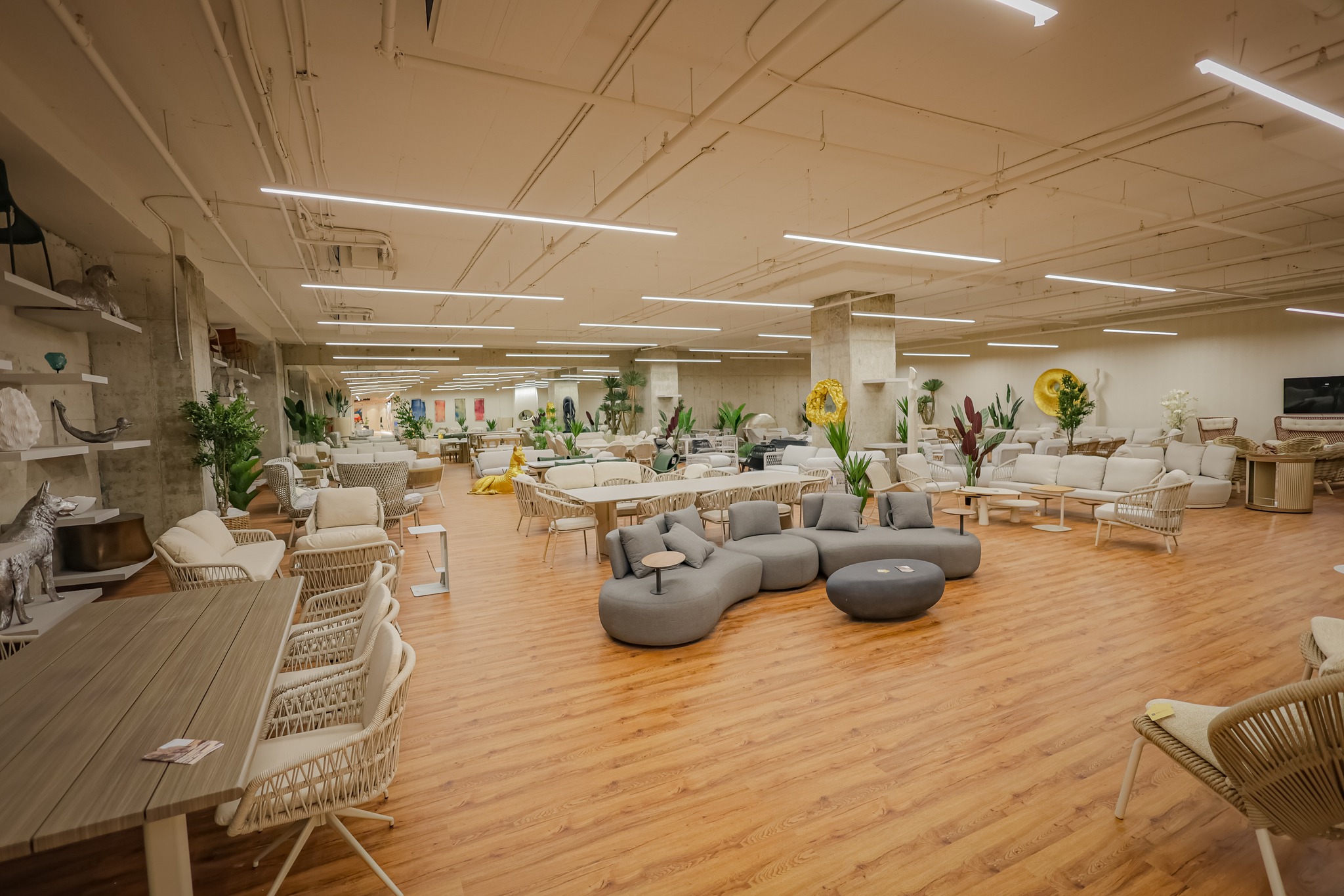 Show Room